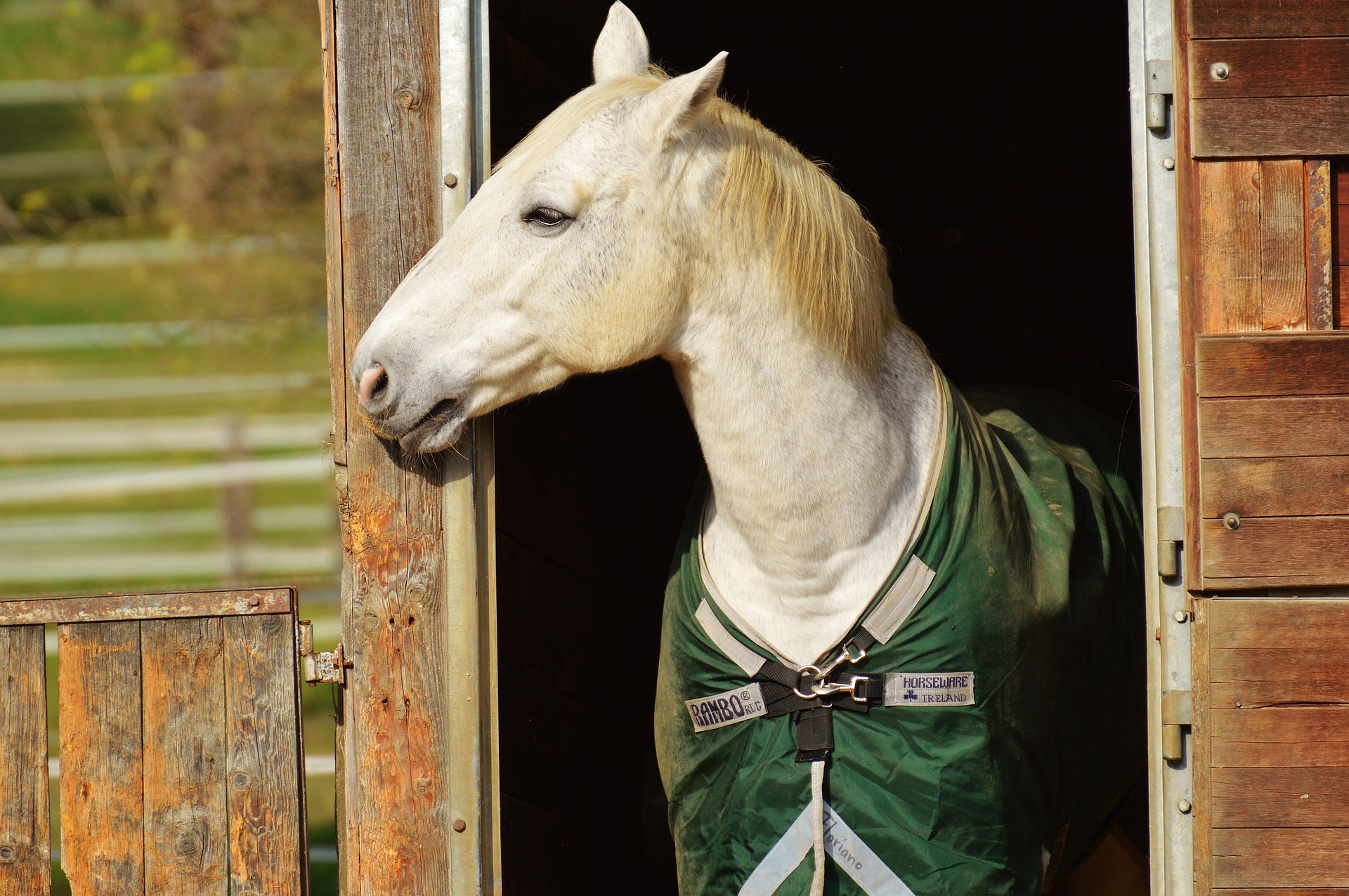 Huys en Paard