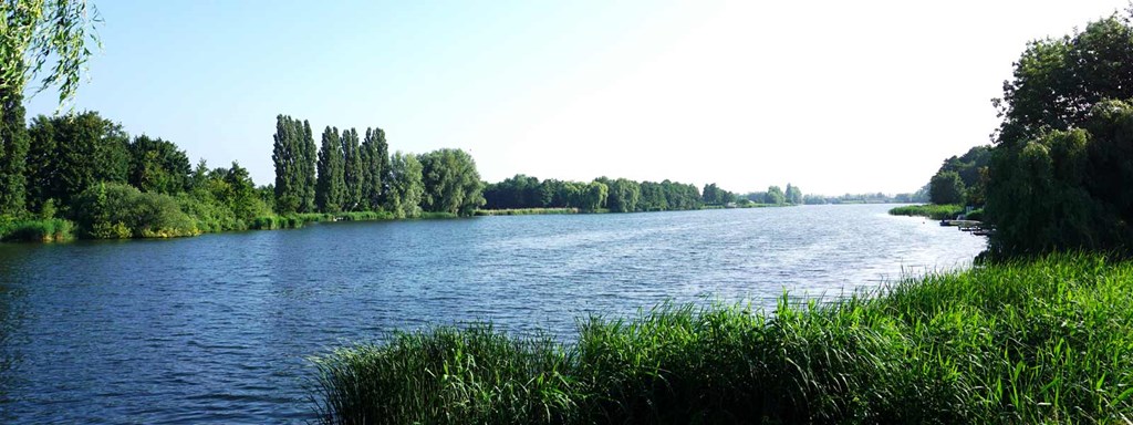 Met deze punten scoren wij hoog: