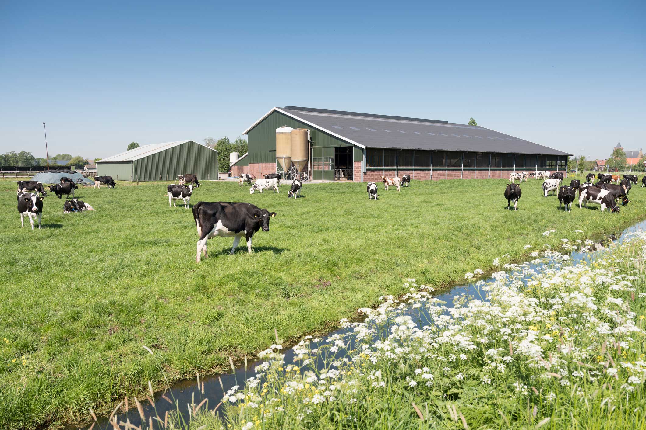 Aankoopbegeleiding: Agrarische bedrijven, landbouwgrond en woonboerderijen