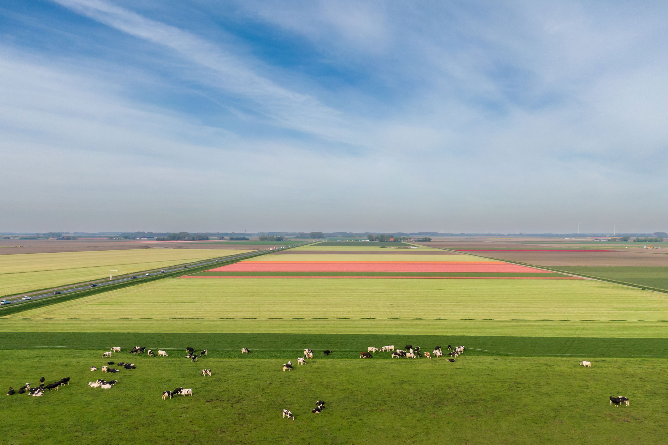 Advies: Begeleiding bij bedrijfsoverdracht of beëindiging van uw agrarisch vastgoed.