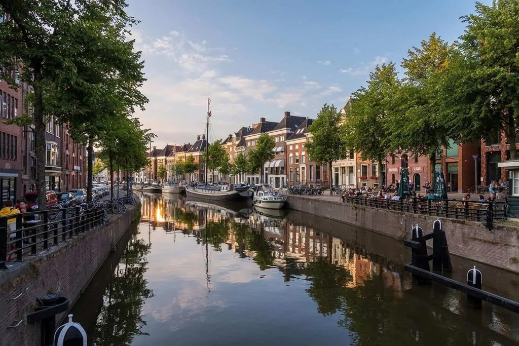 Volledige ontzorging