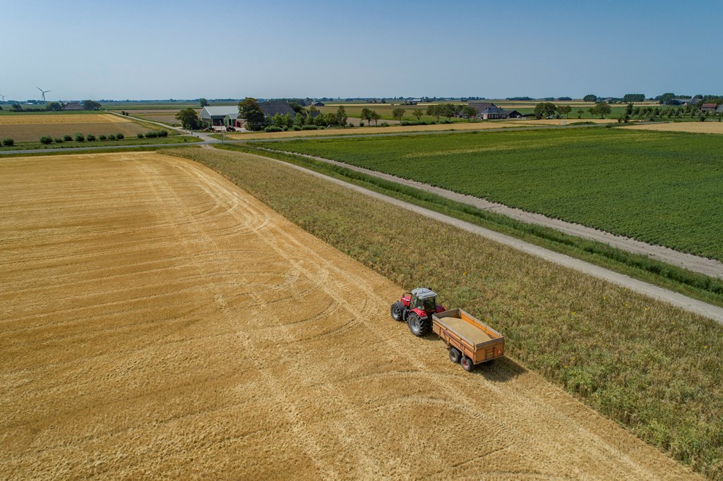 Bedrijfsverplaatsing