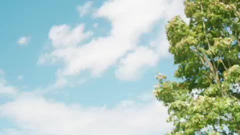 Dé makelaar voor jou!