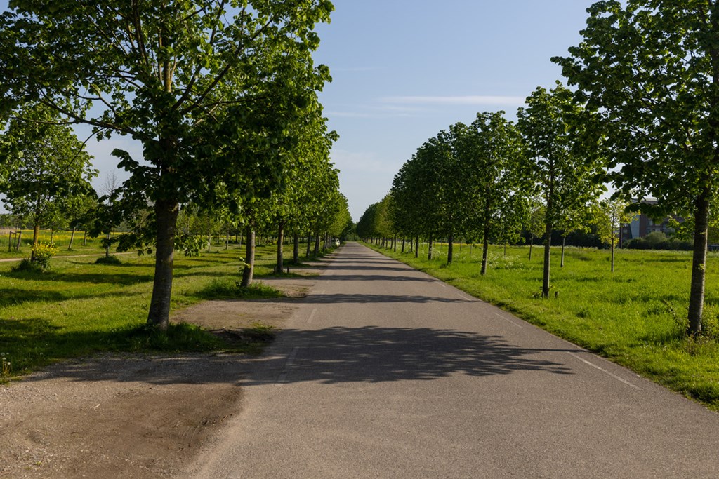 Daarom kies je de beste aankoopmakelaar in Hendrik-Ido-Ambacht