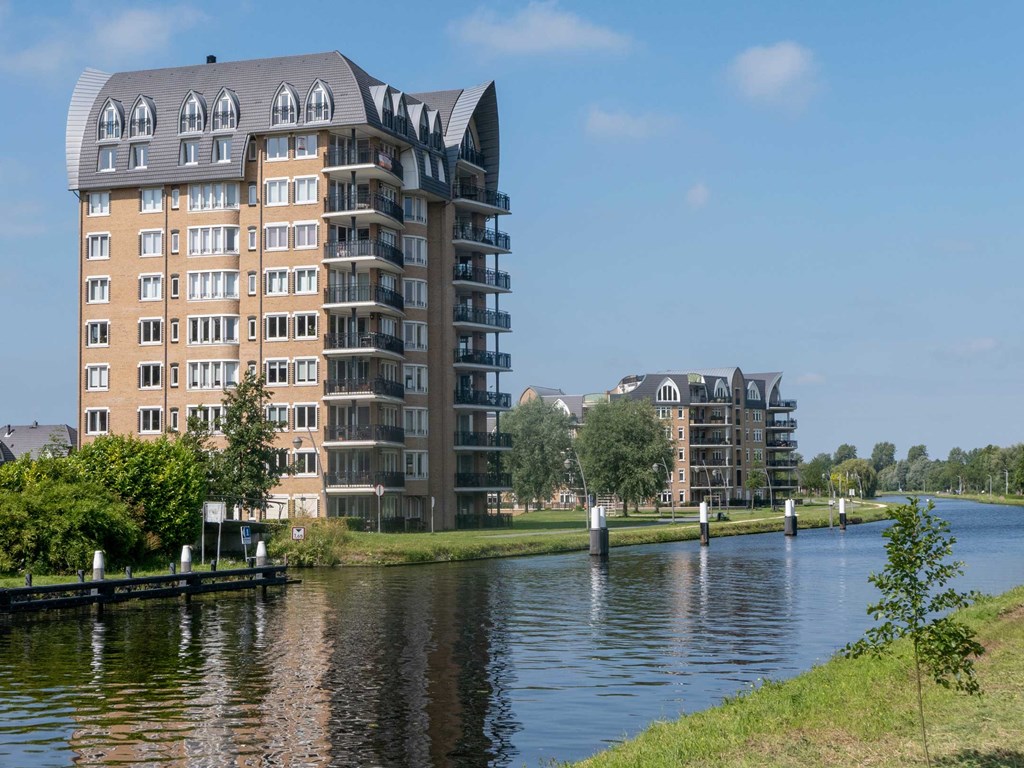 De verkoopmakelaar van de regio