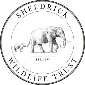 sheldrick wildlife trust