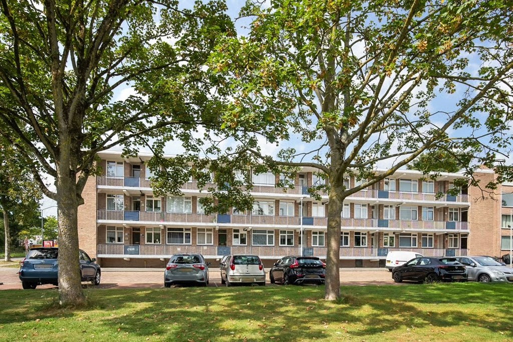 Foto aangekocht object