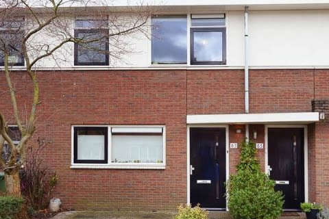 Weidebloem 85, Den Hoorn