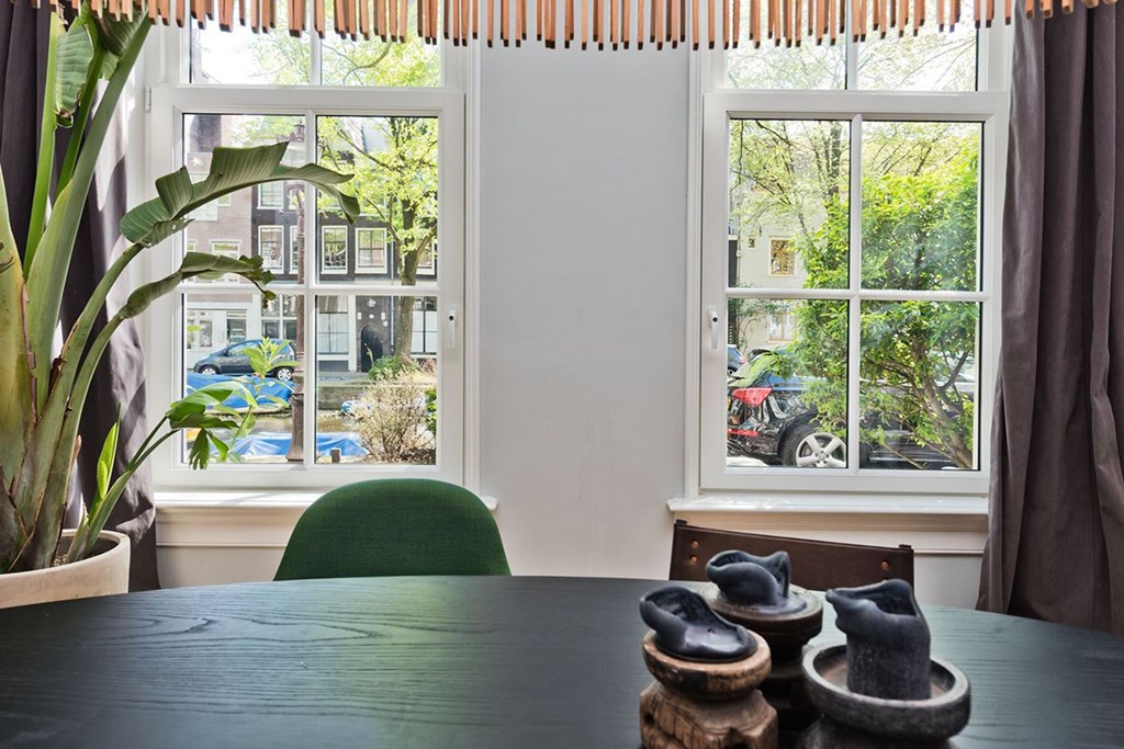 Professionele experts