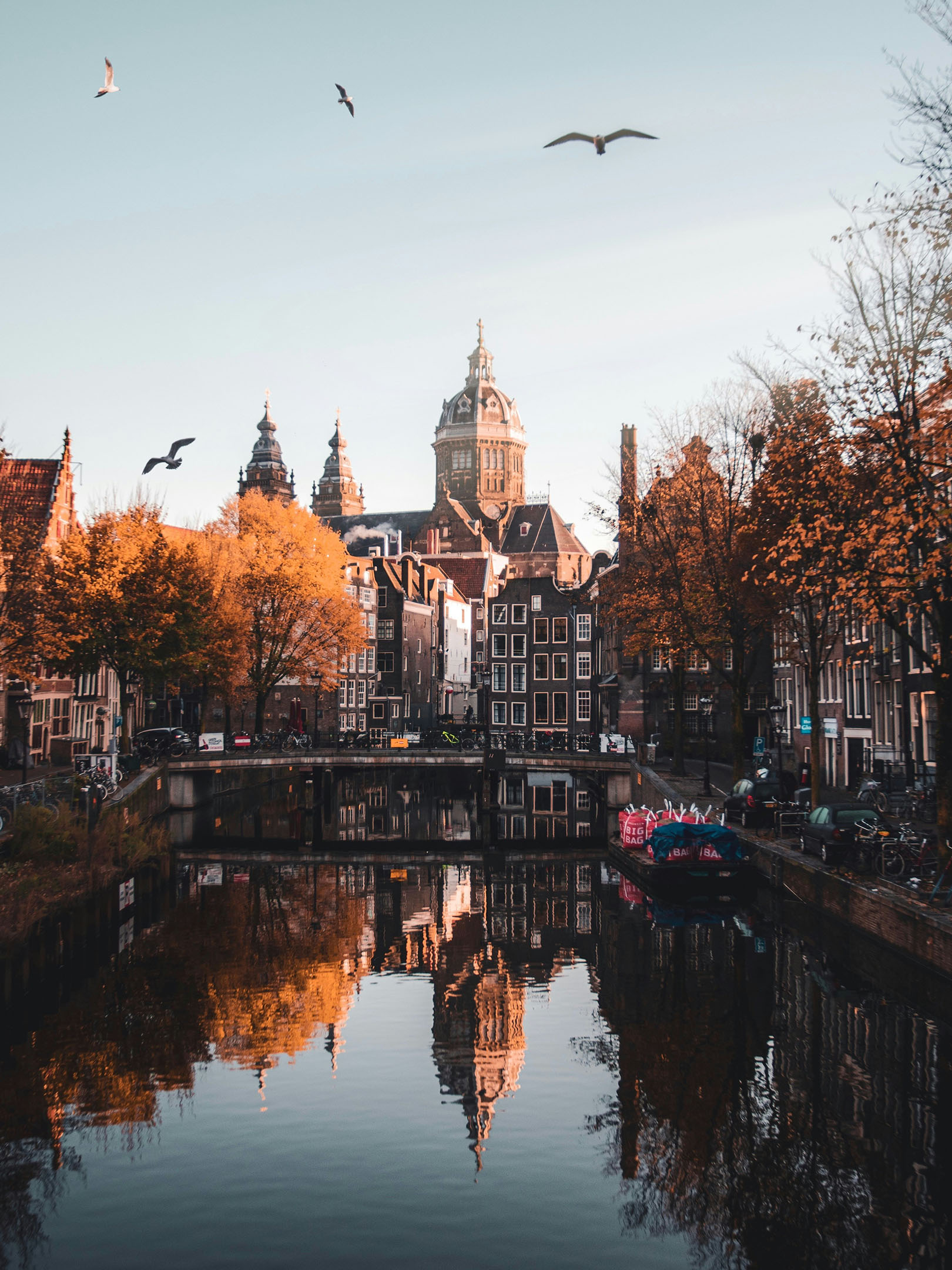 Alles voor jouw woning