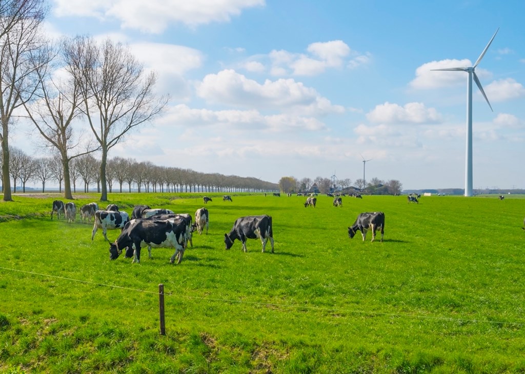 Het team van Leyten & Van der Linde