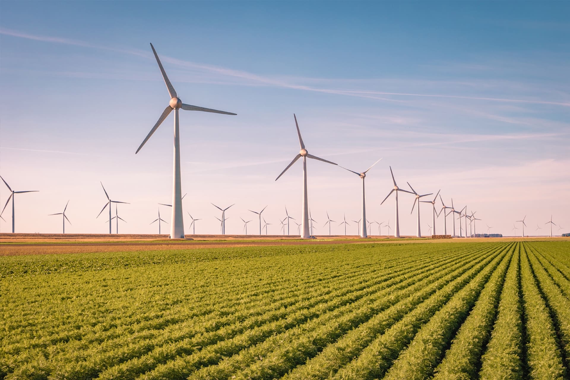 Pacht bij Leyten & Van der Linde