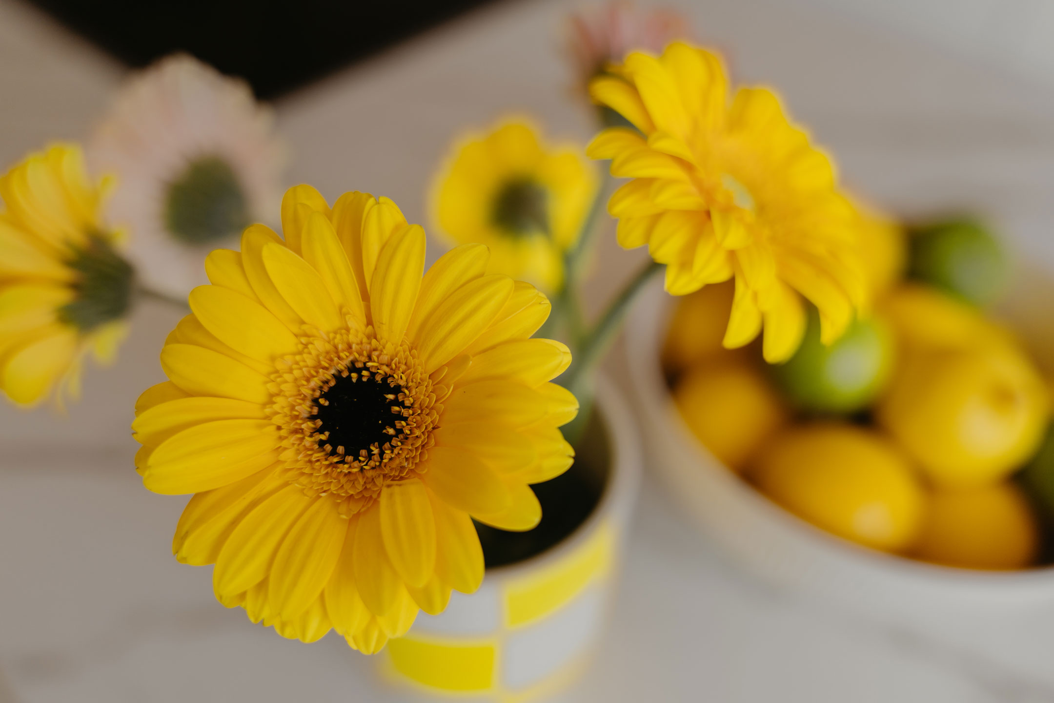 Presentatie is alles