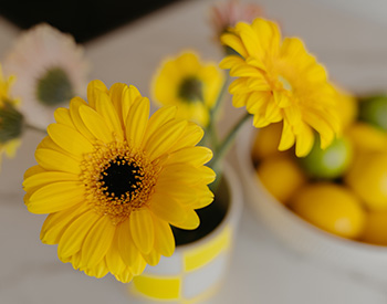 Verkopen van je woning