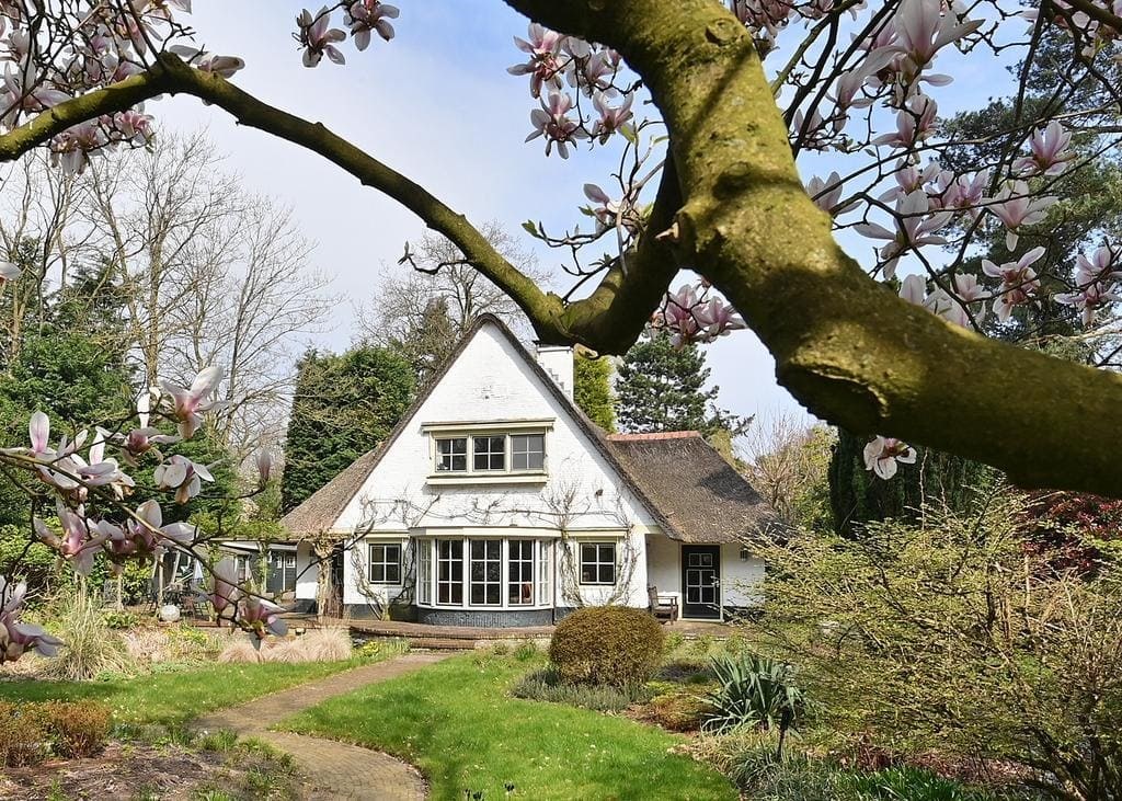 Naarderstraat 196, Huizen