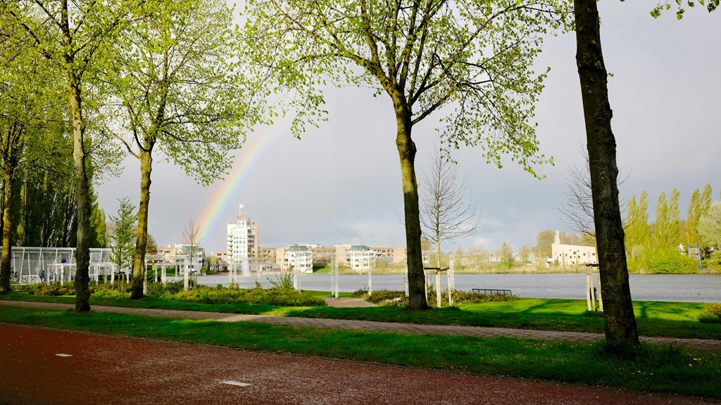 Foto Kattenbroek