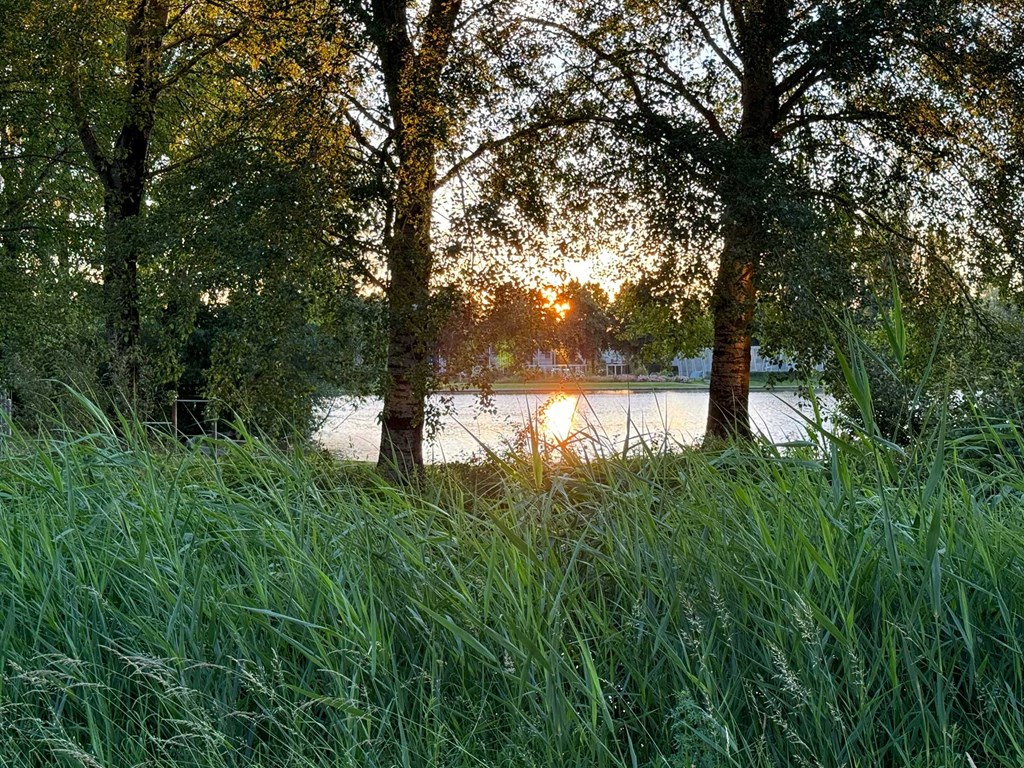Foto Zielhorst