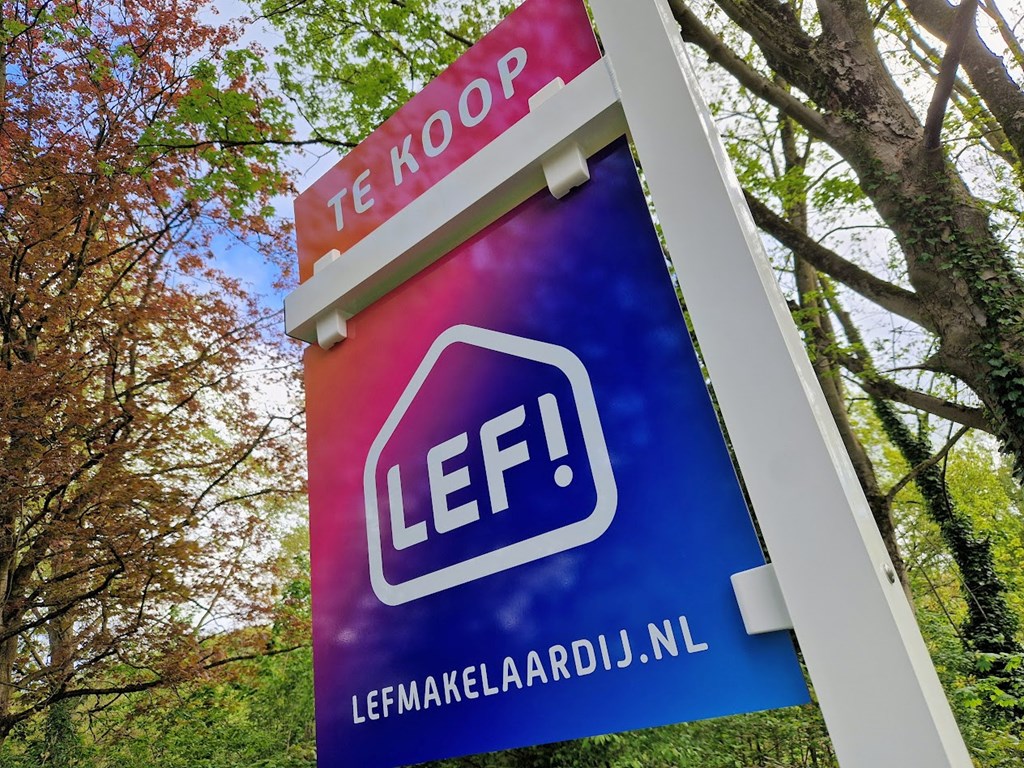 Waarom LEF!?