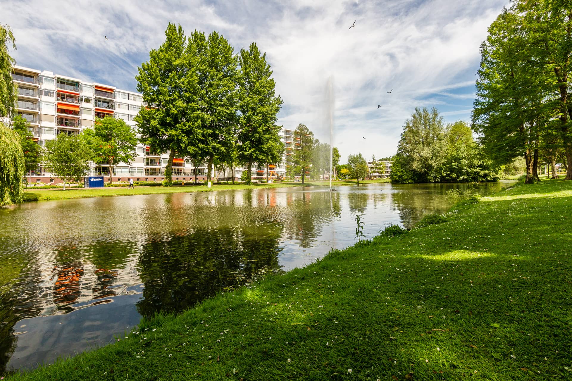 Professioneel en op de hoogte