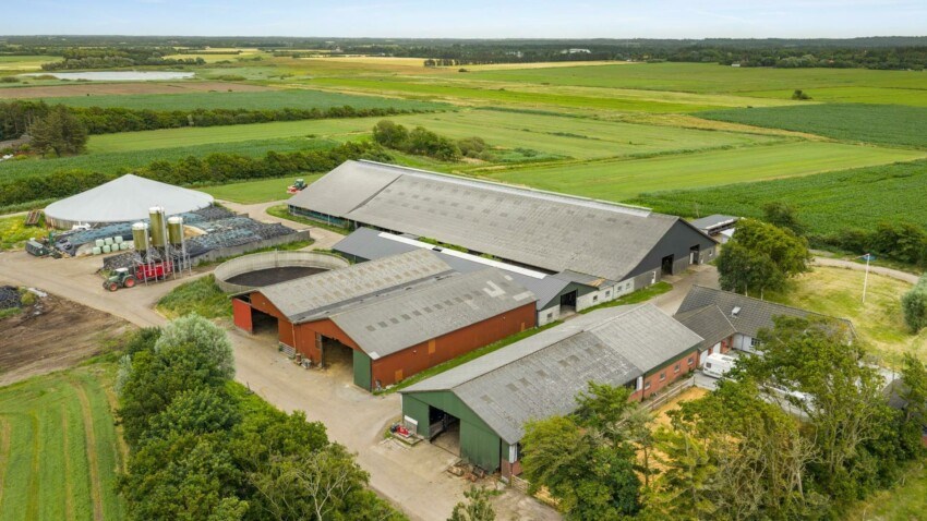 Foto boerderij