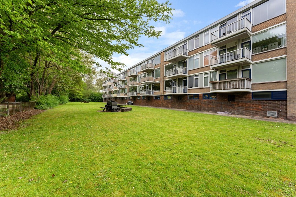 Hoe maak je het meeste kans op een appartement in Zuid-Holland?
