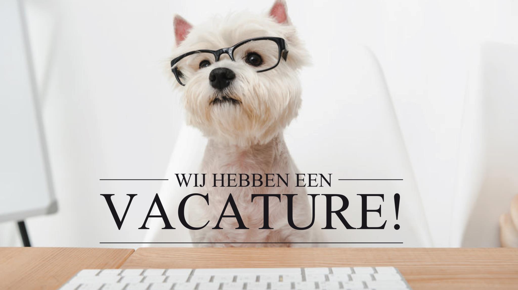 Vacatures