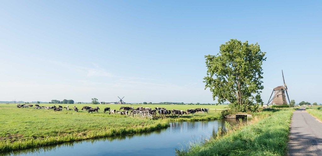 Welk vraagstuk heeft u?