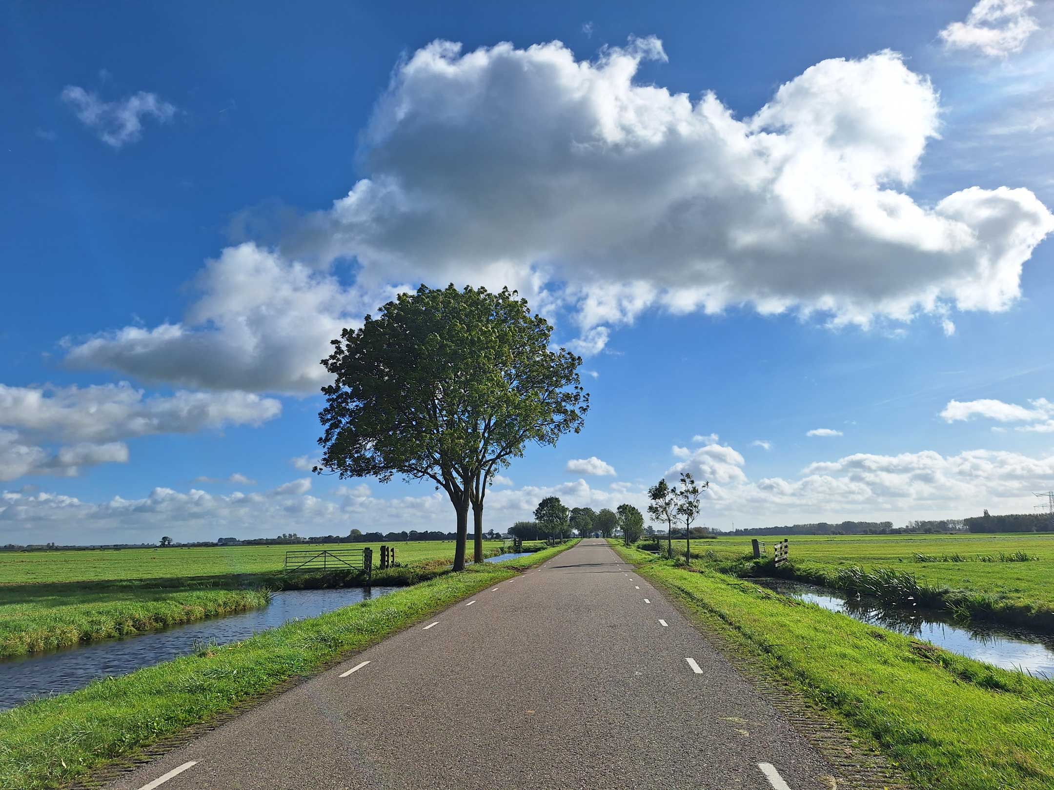 Wat wij voor u doen: