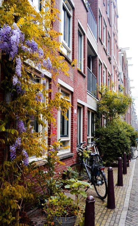 Het verloop van de afspraak