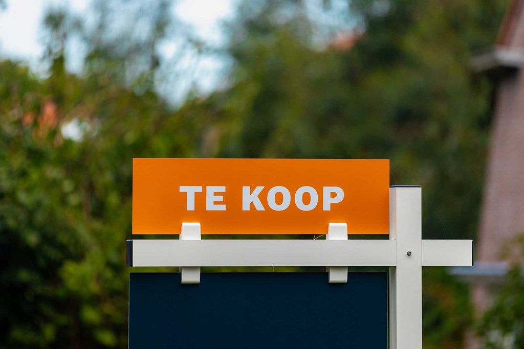 Deskundig advies is pure noodzaak