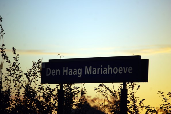 Makelaar Mariahoeve Den Haag