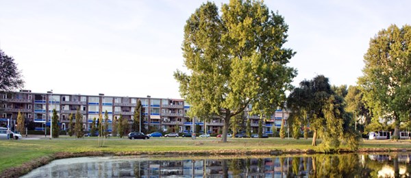 Makelaar Waldeck Den Haag