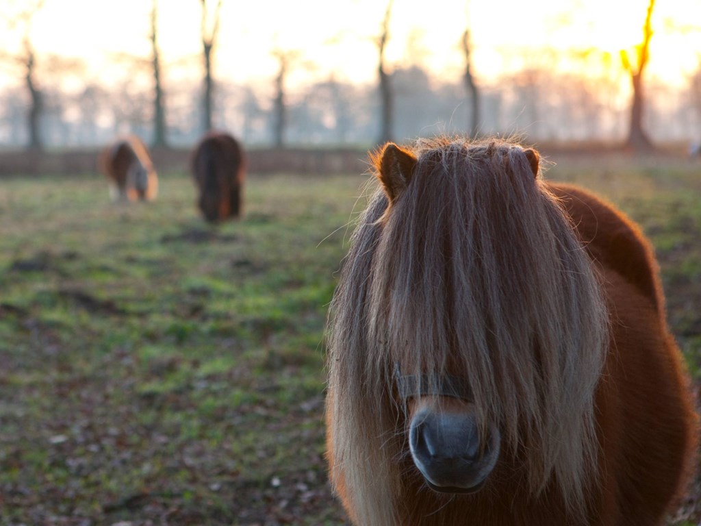 Centraal gelegen met winkels en voorzieningen om de hoek